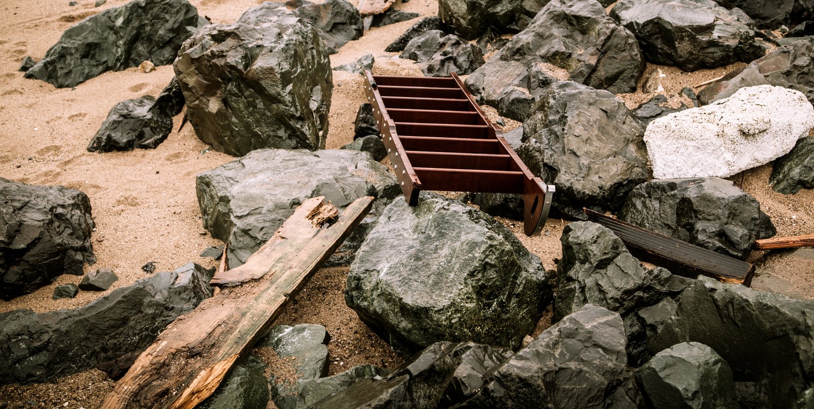 art-of-sandy-mo-staten island 2-68.jpg